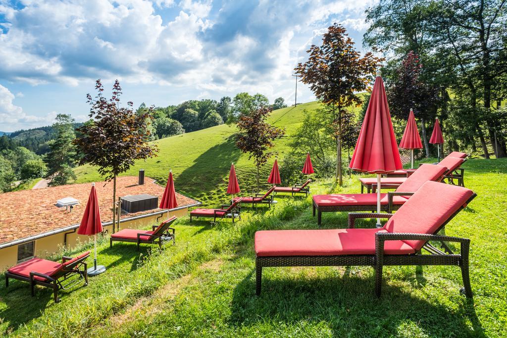 Naturparkhotel Adler Вольфах Экстерьер фото