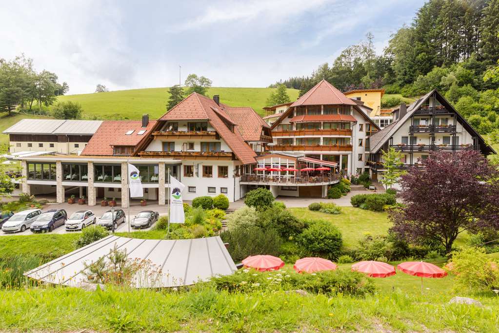 Naturparkhotel Adler Вольфах Экстерьер фото